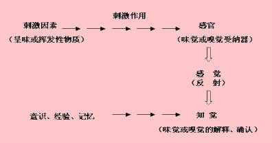 2.jpg 2.jpg