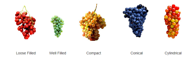 1.png 1.png