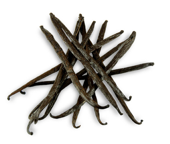 香草_Vanilla.png 香草_Vanilla.png