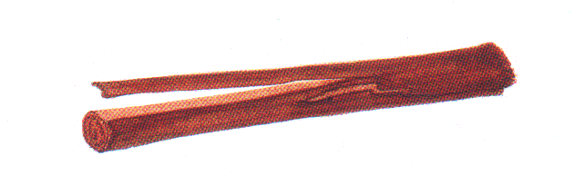 Connamonum_zeylanicum.png Connamonum_zeylanicum.png