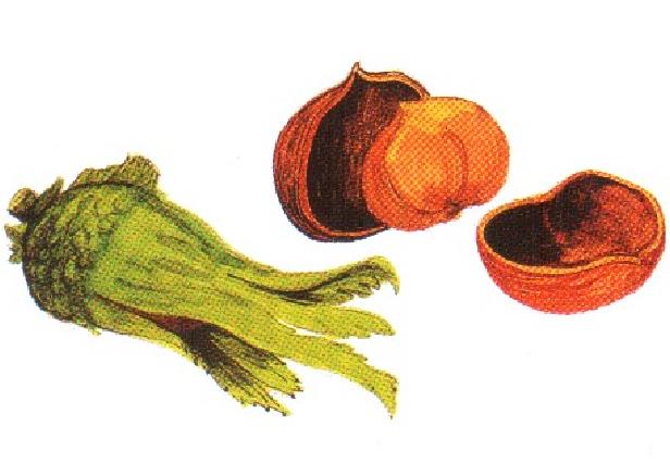 烤棒子.jpg 烤棒子.jpg