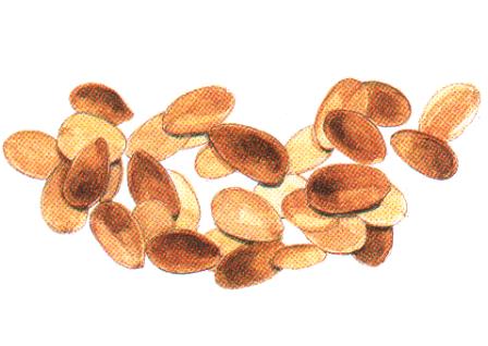 Roasted_almond.jpg Roasted_almond.jpg
