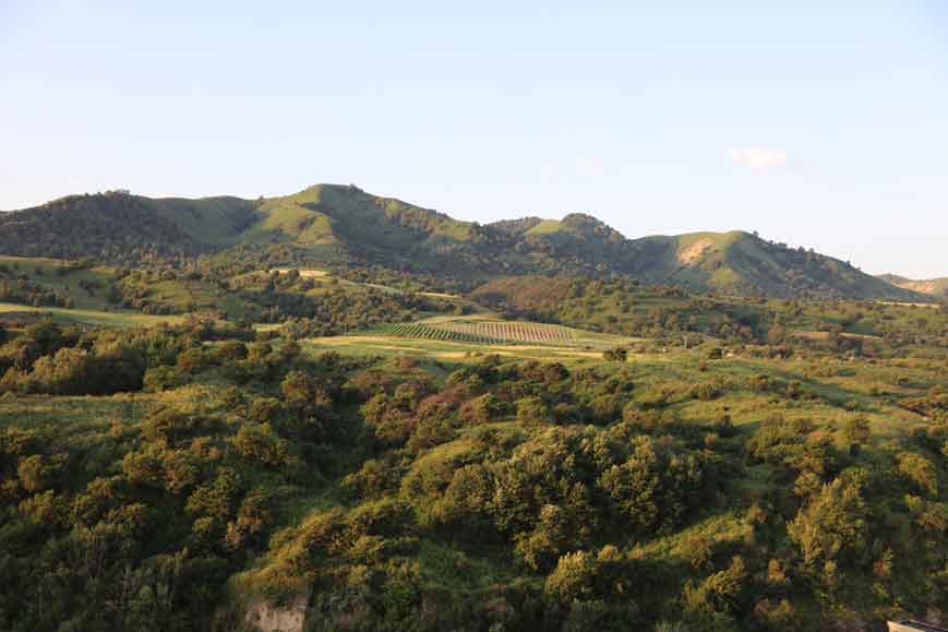 库尔德宁种植基地.jpg 库尔德宁种植基地.jpg