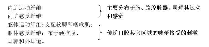 迷走神经.jpg 迷走神经.jpg