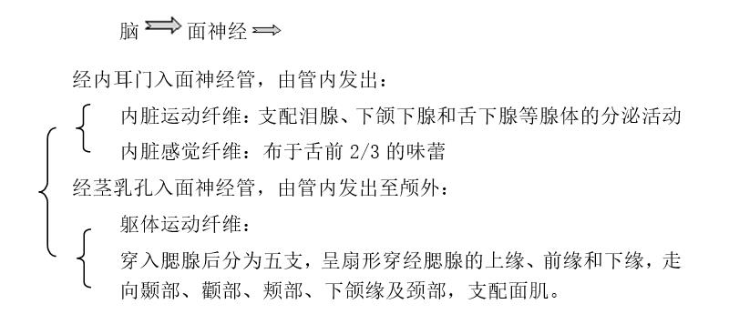 面神经.jpg 面神经.jpg