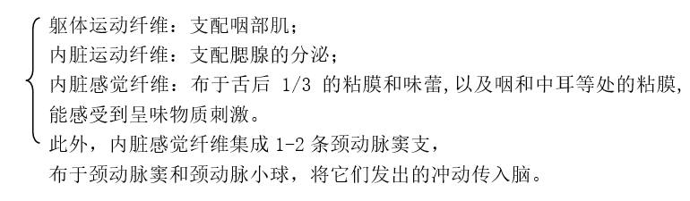 舌咽神经.png 舌咽神经.png