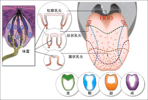 图片1副本.jpg 图片1副本.jpg