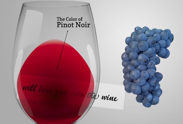 Pinot_Noir.jpg Pinot_Noir.jpg