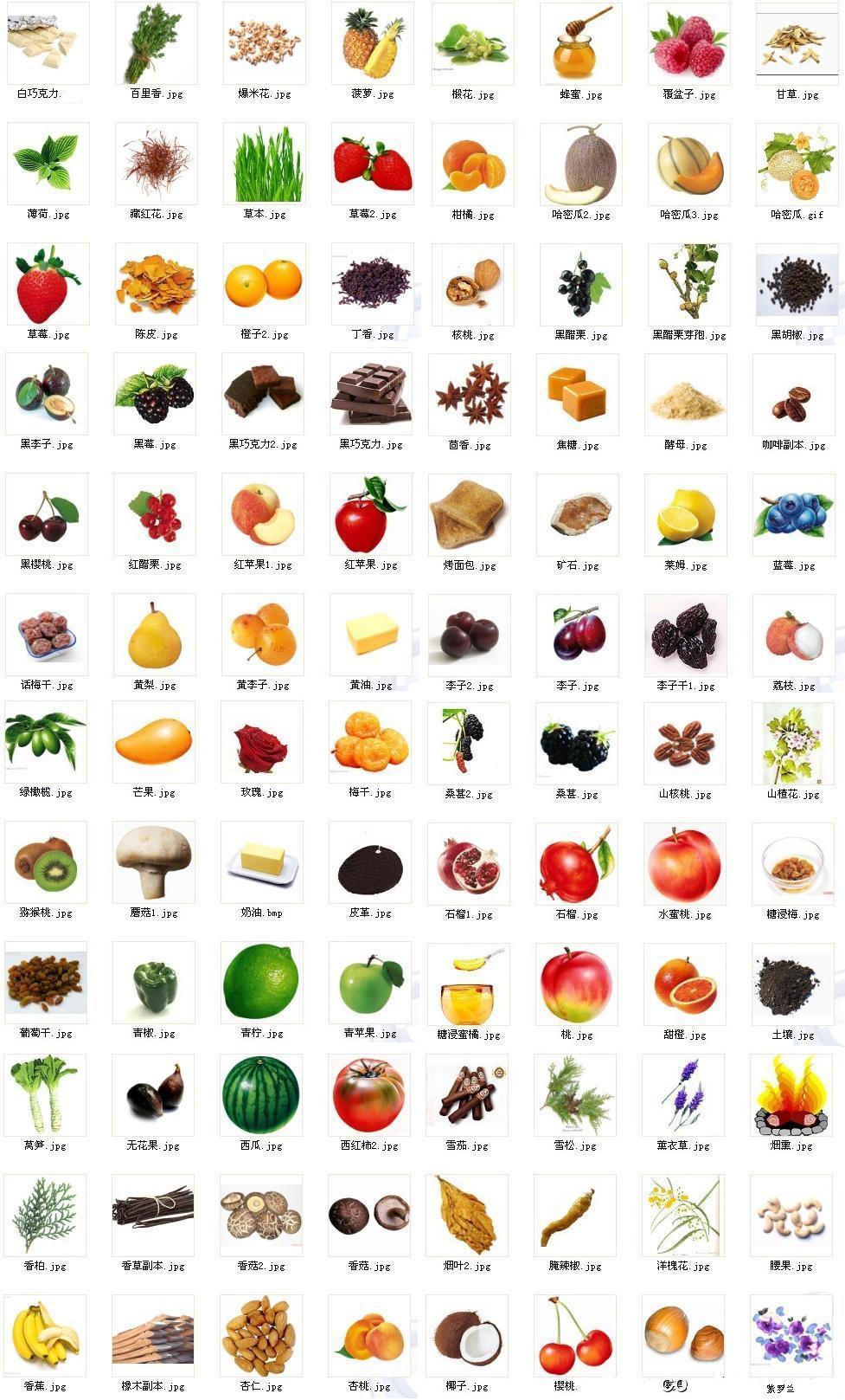 葡萄酒香气集合.jpg 葡萄酒香气集合.jpg