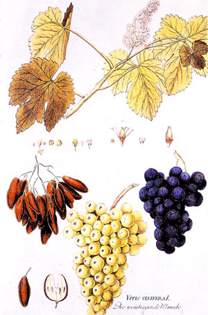 image_20074211314272723.jpg image_20074211314272723.jpg